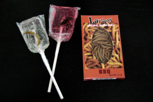 Insect Candy